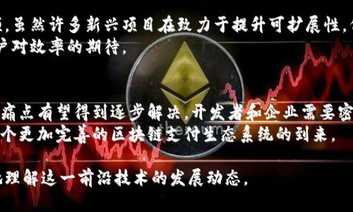 区块链支付系统的痛点分析：现状与未来发展

区块链, 支付系统, 技术问题, 安全性/guanjianci

引言
随着数字货币和区块链技术的迅速发展，区块链支付系统正在成为金融行业的新趋势。虽然它具有去中心化、安全性高和透明度强等优势，但在实际应用中，仍然面临着许多痛点。本文将系统性地分析这些痛点，并提出可能的解决方案，帮助读者理解区块链支付系统的现状及未来发展方向。

一、交易速度慢
区块链支付系统的一个显著痛点是交易速度较慢。例如，比特币的交易确认时间通常在10分钟到1小时之间。这使得其在日常小额支付中的应用受到严重限制。在当今快节奏的生活中，消费者希望能够实时完成交易，而区块链的交易确认机制，往往不能满足这一需求。
这种速度的限制主要与区块链的工作机制有关。大多数区块链技术采用了“工作量证明”（Proof of Work）为共识机制。这一机制虽然能有效保证安全性，但在交易量增加时，网络拥堵会导致处理速度进一步降低。

二、交易费用高
尽管区块链的创新理念在初期吸引了许多关注，但随着网络使用量的增加，交易费用也逐渐上升。以以太坊为例，网络拥堵时，交易手续费（称为Gas费）可能会上涨至数十美元。这使得小额交易变得不再划算，使用区块链支付系统的经济性受到挑战。
高昂的交易费用并非仅表现在以太坊上，许多其他公共区块链在网络拥堵时也会经历相似的问题。这使得企业和个人在选择支付系统时，必须权衡使用成本和交易效率。

三、安全性与隐私问题
虽然区块链因其去中心化的特点而被广泛认为是安全的，但实际操作中仍然存在诸多安全隐患。用户私钥的管理、智能合约的漏洞、多重签名的安全等问题都可能导致资产损失。此外，虽然区块链的透明性让交易可被公开查询，但这种透明性也会对用户的隐私造成威胁。
许多用户在用区块链支付系统进行交易时，常常无法确保自己身份和交易信息的隐私保护。这在某些情况下，可能会导致跟踪和资产被盗的风险。

四、技术复杂性
区块链技术是一项相对较新的技术。对于普通用户而言，理解和使用这种技术可能会有较大困难。虽然许多区块链支付平台努力简化用户体验，但仍然有大量用户不能有效掌握相关知识，这限制了区块链支付系统的普及率。
用户需要了解如何管理数字钱包，如何进行交易，如何保护私钥等。这些技术门槛让许多人望而却步。”区块链”这一术语在技术圈内尽管已经被广泛讨论，但普通消费者却不一定能够理解其背后的复杂机制。

五、法规与合规性问题
区块链支付系统在各国法律框架中的地位尚不明确。许多国家对数字货币的监管政策尚在不断调整中。这使得一些企业在实施区块链支付系统时面临法律风险。合规性问题包括反洗钱（AML）、客户身份识别（KYC）等规定。
这些合规挑战让一些支付平台不得不面临高昂的法律成本，或是限制了其业务发展。如何在不牺牲用户体验的前提下，满足不同国家的法律要求，成为了行业亟待解决的问题。

六、可扩展性问题
区块链支付系统的可扩展性是另一个重要痛点。在用户数量和交易量急剧增加的情况下，许多区块链平台面临着性能瓶颈。虽然许多新兴项目在致力于提升可扩展性，例如通过分片技术提升交易吞吐量，但这些解决方案仍处于研究阶段，普遍未获得广泛实施。
如果无法有效解决可扩展性问题，区块链支付系统将在面对大规模交易需求时，可能会出现拥堵和处理延迟，无法满足用户对效率的期待。

总结与展望
尽管区块链支付系统面临诸多痛点，但不可否认的是，它们在现代金融领域中的潜力仍然巨大。随着技术的不断进步，许多痛点有望得到逐步解决。开发者和企业需要密切关注这些问题并探索相应的解决方案，以便为用户提供更安全、高效和友好的支付体验。
未来，区块链支付系统的标准化和合规化将是关键，同时，增强用户教育和推广也将有助于提升市场接受度。我们期待着一个更加完善的区块链支付生态系统的到来。 

以上是对区块链支付系统痛点的深入分析和未来的展望，希望能为读者提供有价值的信息，帮助行业参与者和用户更好地理解这一前沿技术的发展动态。