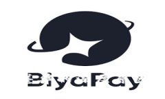 区块链数据差异的深层原因解析与影响