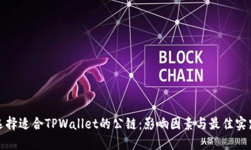 选择适合TPWallet的公链：影响因素与最佳实践