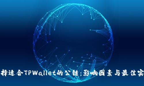 选择适合TPWallet的公链：影响因素与最佳实践