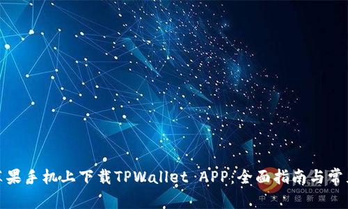 : 如何在苹果手机上下载TPWallet APP：全面指南与常见问题解答