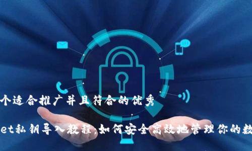 思考一个适合推广并且符合的优秀

TPWallet私钥导入教程：如何安全高效地管理你的数字资产