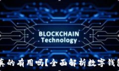   下载TPWallet真的有用吗？全面解析数字钱包的优