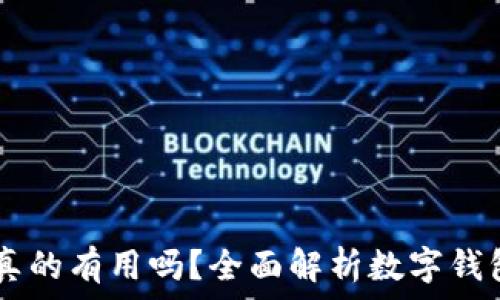   
下载TPWallet真的有用吗？全面解析数字钱包的优势与应用