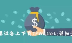 如何在苹果设备上下载TPWallet：详细步骤与指南