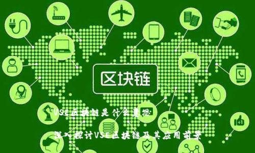 VSE区块链是什么意思

深入探讨VSE区块链及其应用前景