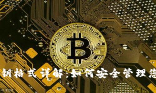 TPWallet密钥格式详解：如何安全管理您的数字资产